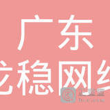 广东龙稳网络科技